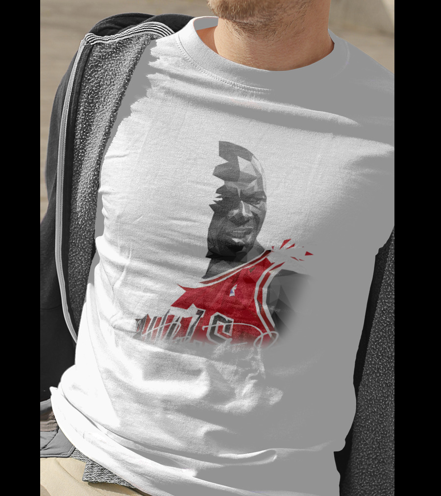 The Last Dance Jordan Bulls #23 Air Jordan Signature T-Shirt