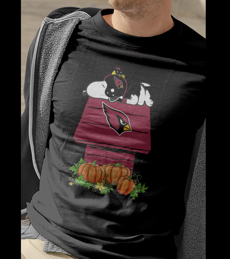 Arizona Cardinals Snoopy On Doghouse With Pumpkins T-Shirt