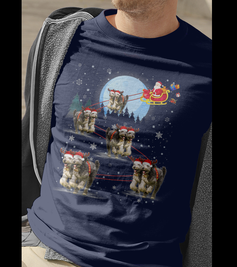 Funny Reindeer Santa With Dogs Pulling Sleigh By Moonlight T-Shirt