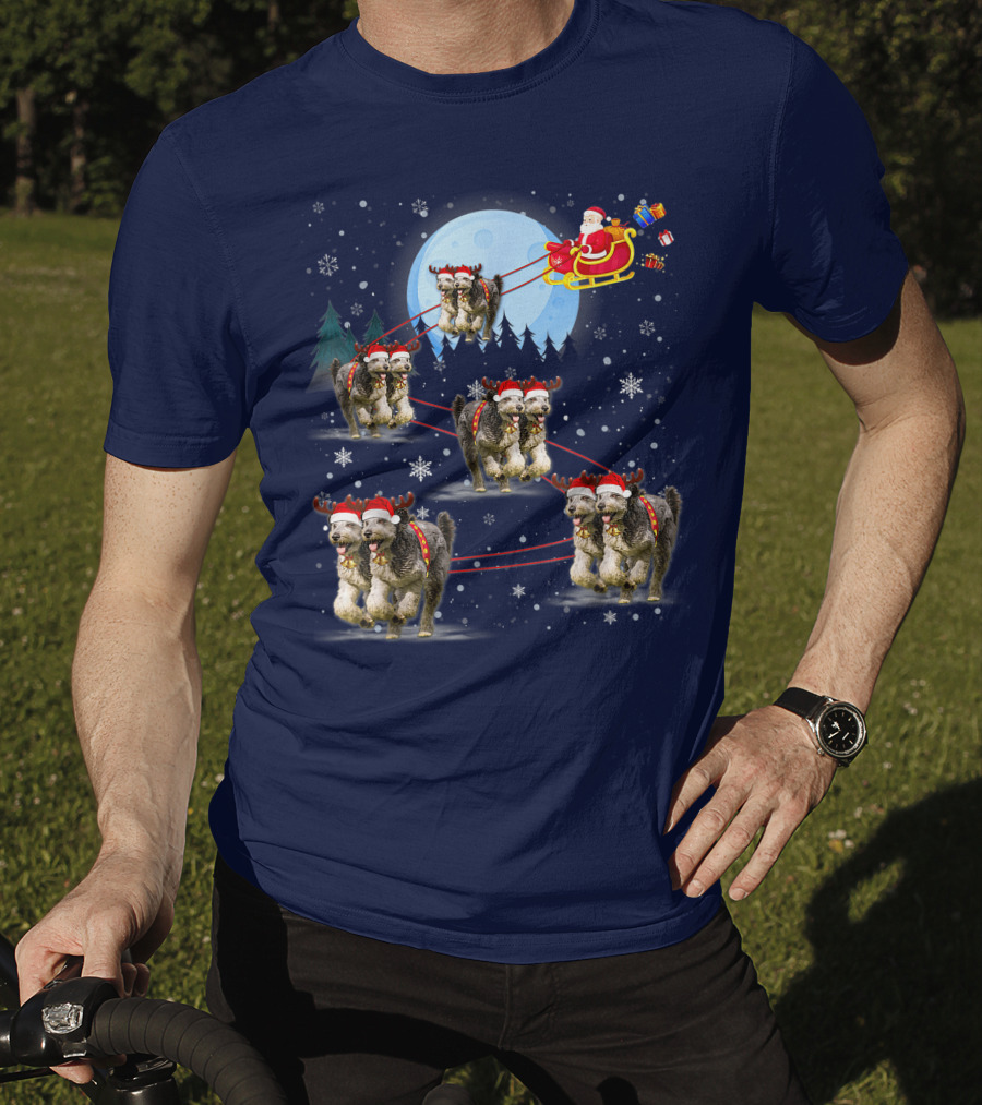 Funny Reindeer Santa With Dogs Pulling Sleigh By Moonlight T-Shirt