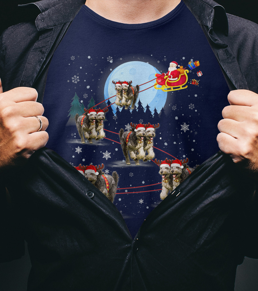 Funny Reindeer Santa With Dogs Pulling Sleigh By Moonlight T-Shirt