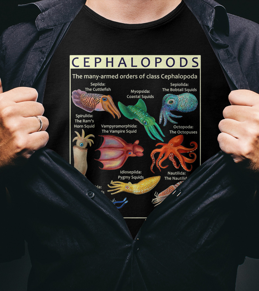 Cephalopods The Many-Armed Orders Of Class Cephalopoda Octopoda The Octopus T-Shirt