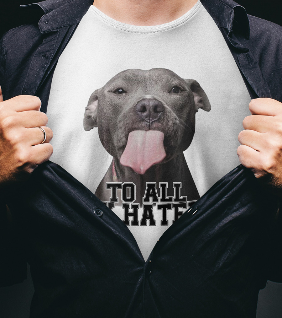 Pitbull To All My Haters Playful Expression T-Shirt