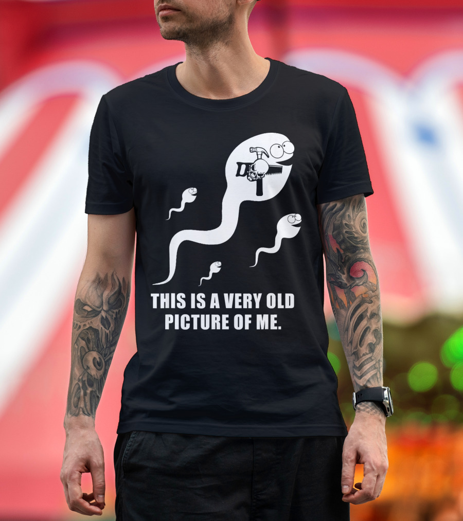 This Is A Very Old Picture Of Me Carpenter Hammer Sperm Humor T-Shirt