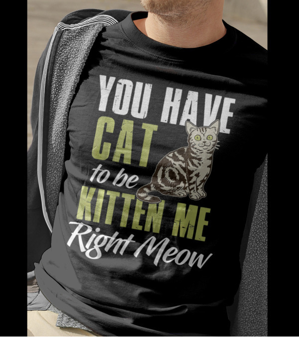 You Have Cat To Be Kitten Me Right Meow With Cute Illustrated Cat T-Shirt