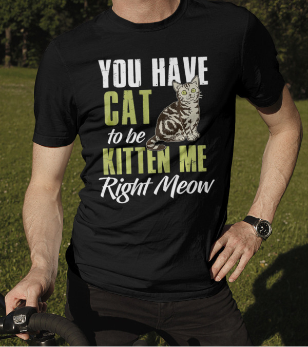 You Have Cat To Be Kitten Me Right Meow With Cute Illustrated Cat T-Shirt