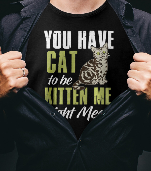 You Have Cat To Be Kitten Me Right Meow With Cute Illustrated Cat T-Shirt