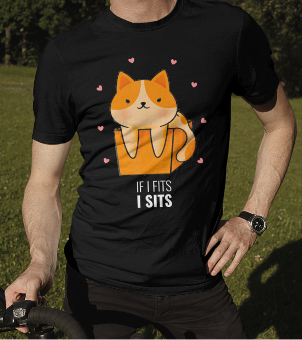 If I Fits I Sits Cat In Box Kitty Surrounded By Hearts T-Shirt