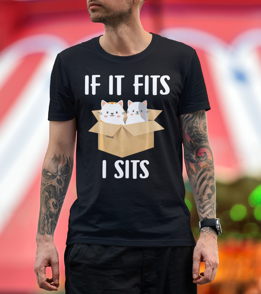 If It Fits I Sits Funny Kitten Cat In Box T-Shirt