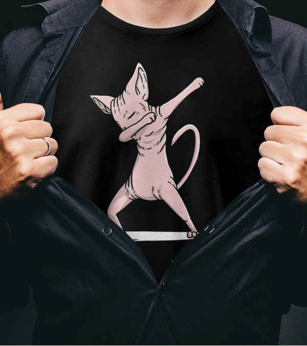 Funny Dabbing Sphynx Cat Dab Dan T-Shirt