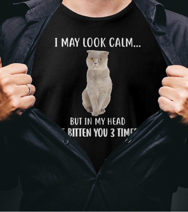 I May Look Calm Scottish Fold Cat But In My Head I’ve Bitten You 3 Times T-Shirt