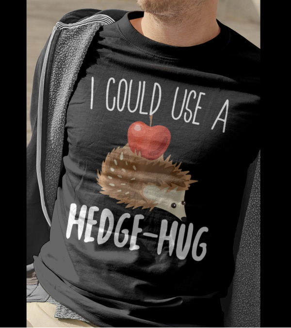 I Could Use A Hedge Hug Cute Hedgehog With Apple Animal Pun T-Shirt