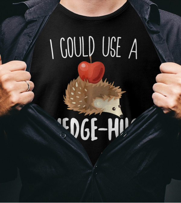 I Could Use A Hedge Hug Cute Hedgehog With Apple Animal Pun T-Shirt