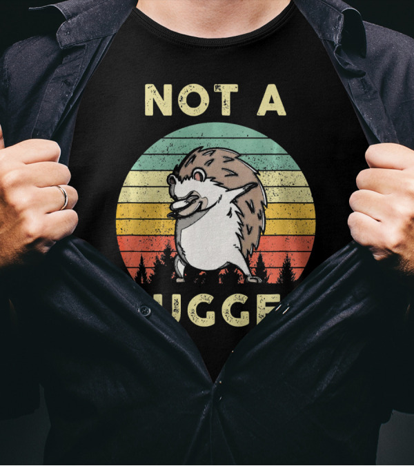 Not A Hugger Vintage Hedgehog Retro Stripes T-Shirt