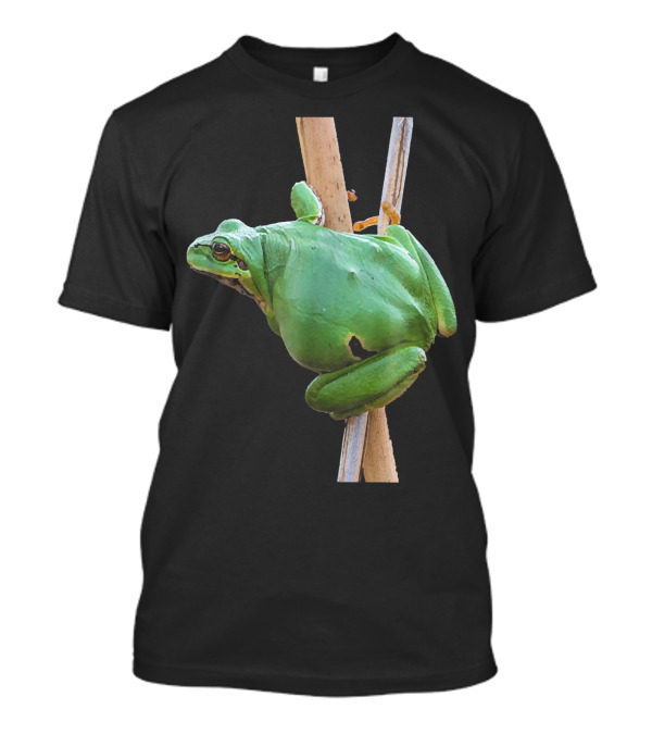 Animal View Green Tree Frog Nature T-Shirt