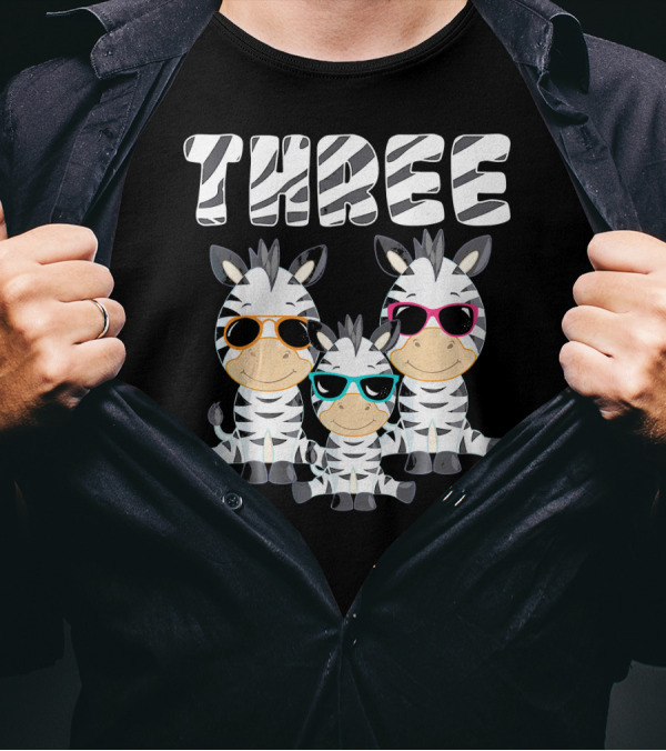Three Cool Zebra 3rd Birthday Party 3 Year Old T-Shirt