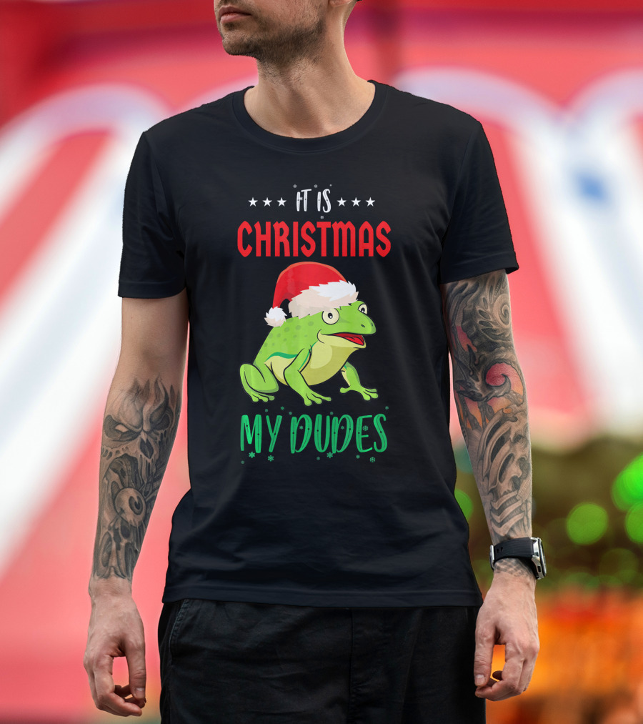 It Is Christmas My Dudes Frog Santa Hat T-Shirt