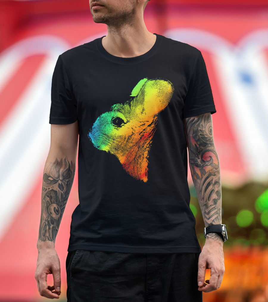 CHINCHILLA Rainbow Retro Colorful Long T-Shirt