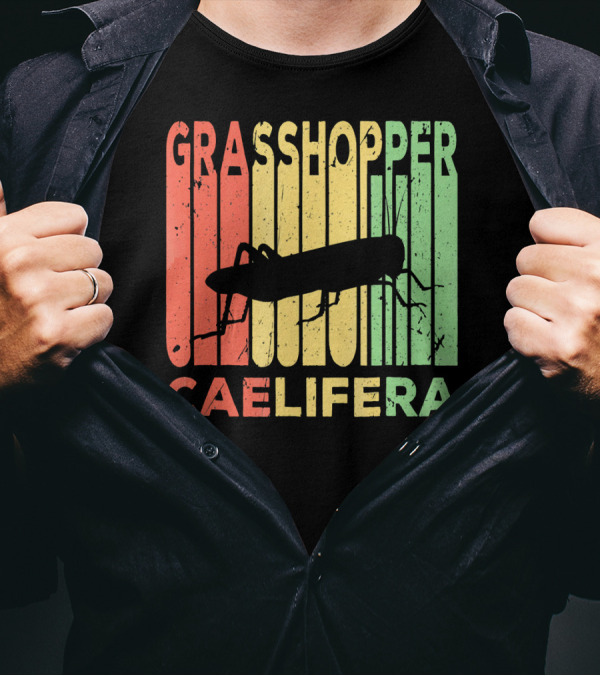 Grasshopper Caelifera Vintage Silhouette Stripes T-Shirt