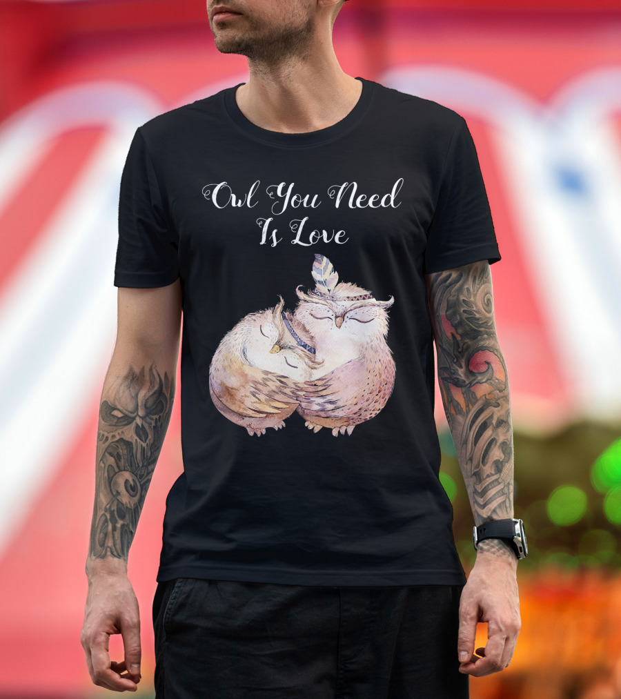 Owl You Need Is Love Hugging Owls with Feather T-Shirt