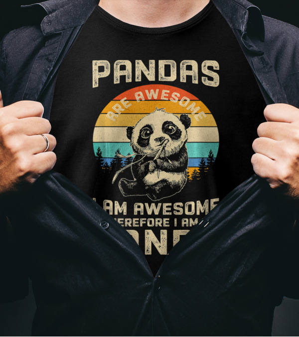Pandas Are Awesome I Am Awesome Therefore I Am A Panda Vintage Sunset T-Shirt