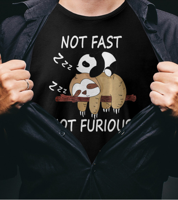 Not Fast Not Furious Sleeping Panda And Sloth Zzz T-Shirt