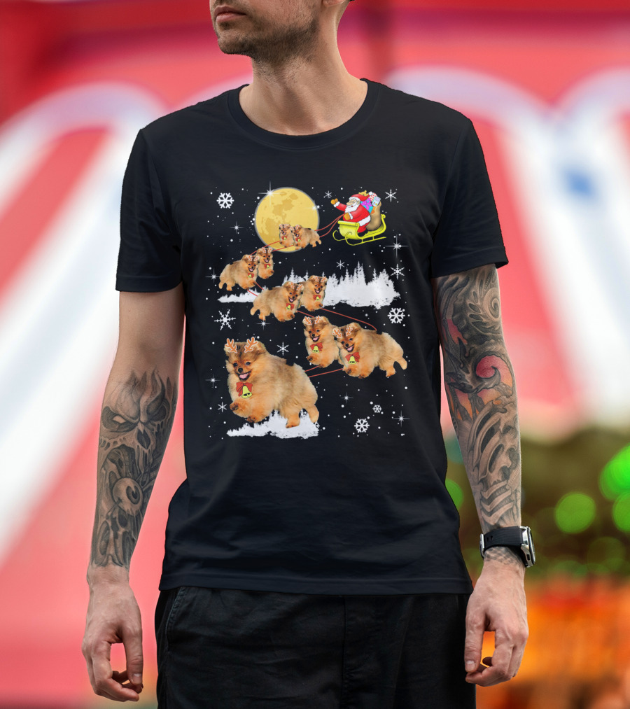 Santa Claus Sleigh with Pomeranian Reindeer and Moon Snow Scene T-Shirt