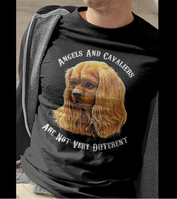 Angels And Cavaliers Are Not Very Different Cavalier King Charles Spaniel Ruby King T-Shirt