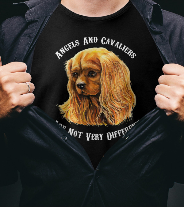 Angels And Cavaliers Are Not Very Different Cavalier King Charles Spaniel Ruby King T-Shirt