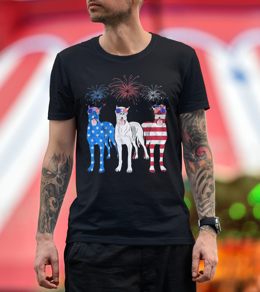 Great Dane American Flag Fireworks USA 4th of July T-Shirt