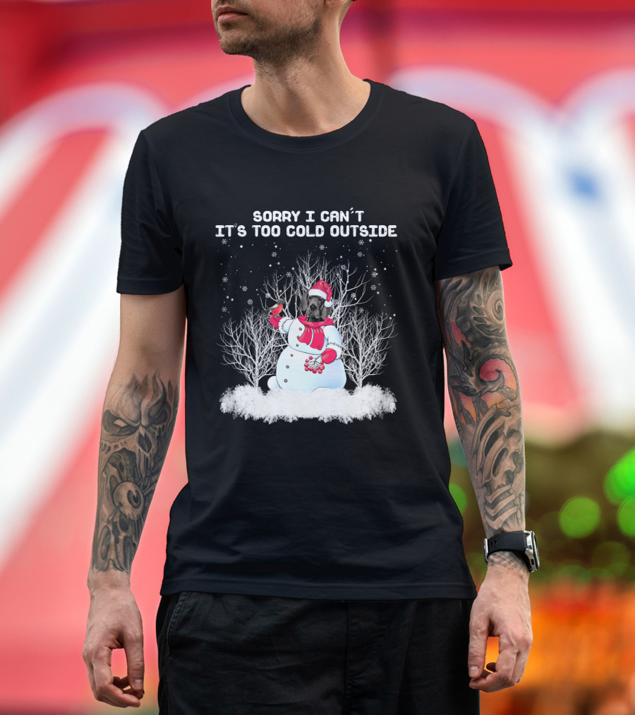 Great Dane Sorry I Can't It's Too Cold Outside Snowman T-Shirt