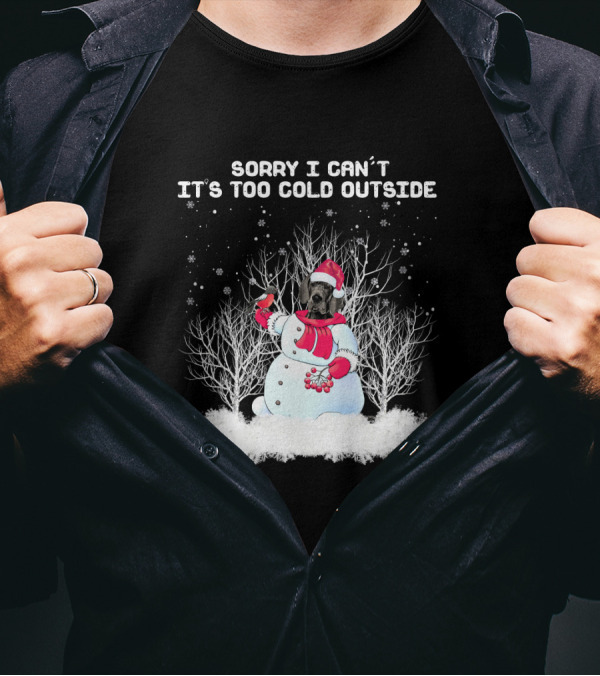 Great Dane Sorry I Can't It's Too Cold Outside Snowman T-Shirt