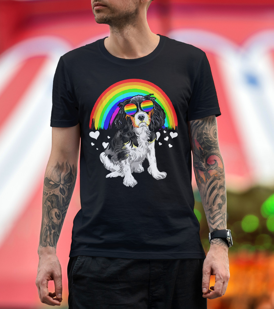 Cavalier King Charles Spaniel Rainbow Glasses Heart Background T-Shirt