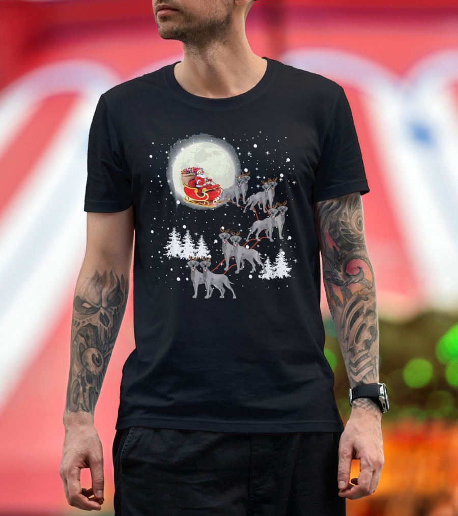 Santa Sleigh with Great Dane Reindeer and Christmas Lights T-Shirt