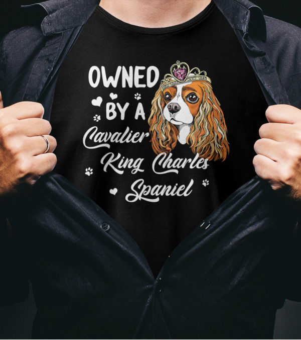 OWNED BY A CAVALIER KING CHARLES SPANIEL WITH CROWN AND HEARTS T-Shirt