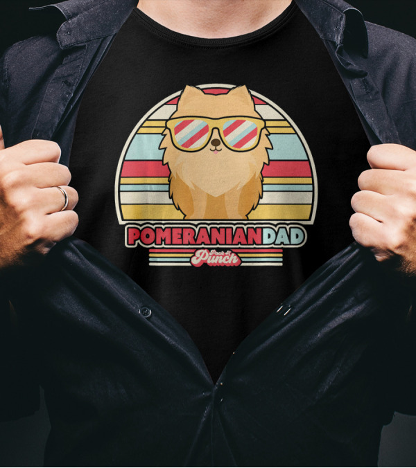 Pomeranian Dad Retro Style Punch Striped Sunglasses T-Shirt