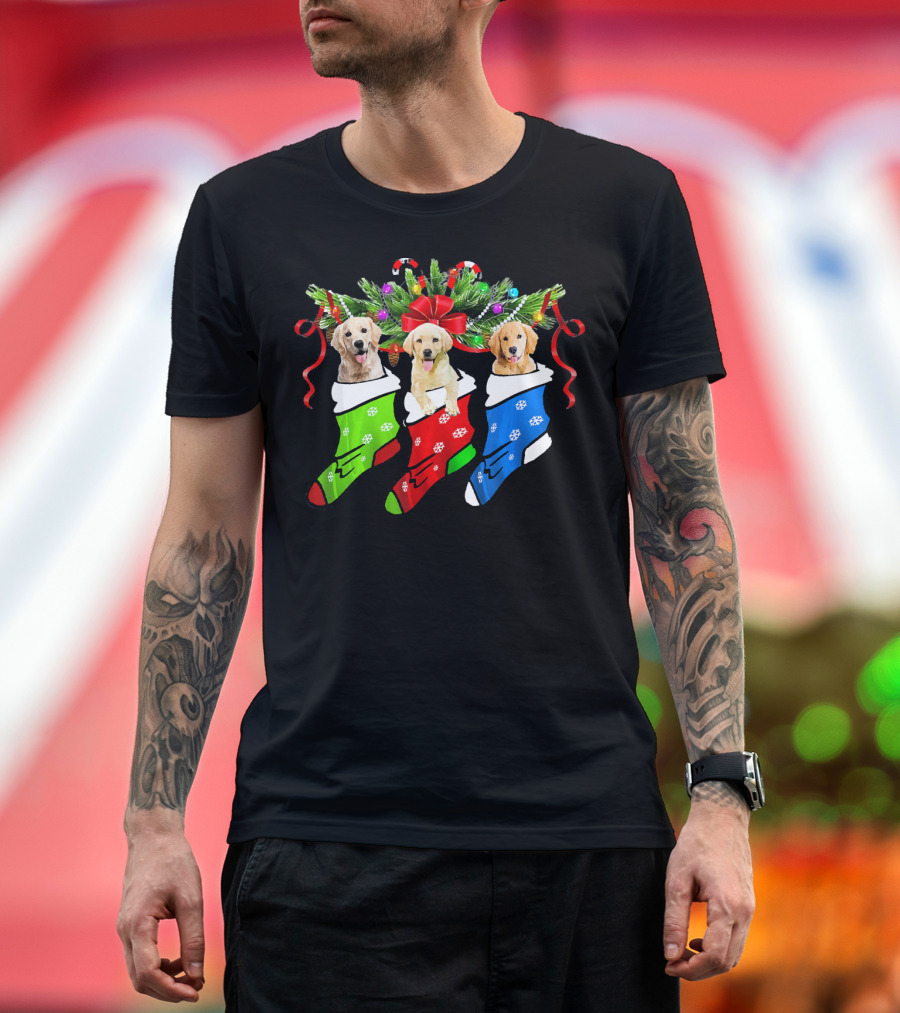 Funny Three Golden Retriever in Christmas Stockings T-Shirt