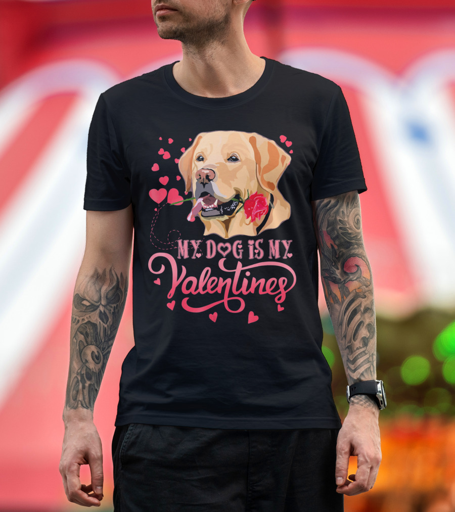 My Dog Is My Valentine Valentines Labrador T-Shirt