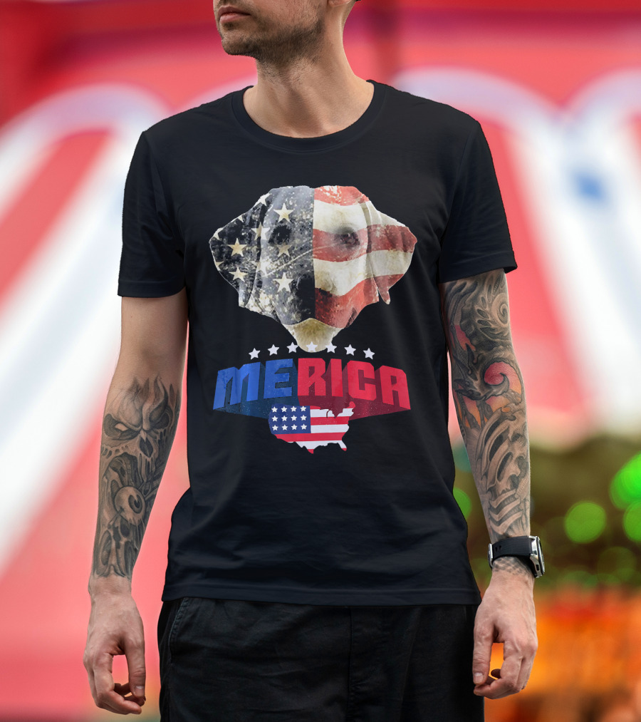 Dachshund Merica American Flag Patriotic 4th of July USA Map T-Shirt