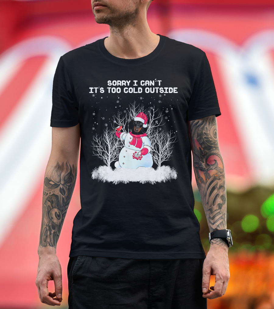Sorry I Can't It's Too Cold Outside Dachshund Snowman T-Shirt