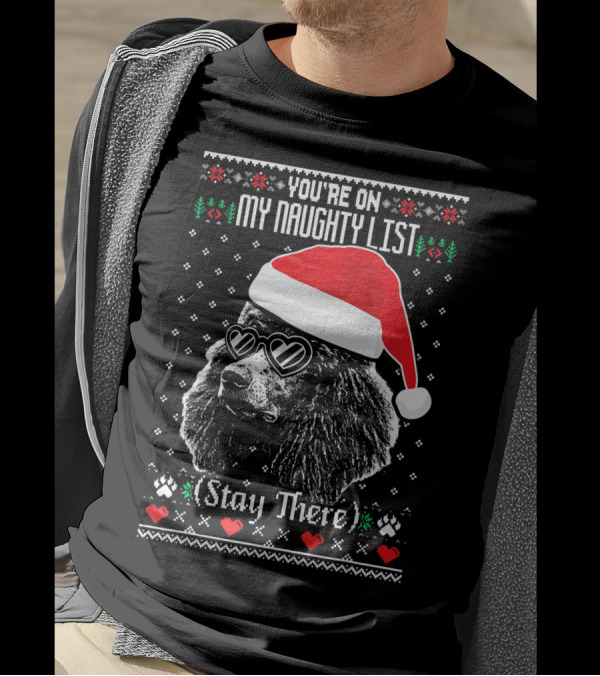 YOU'RE ON MY NAUGHTY LIST (STAY THERE) POODLE SANTA HAT HEART SUNGLASSES T-Shirt