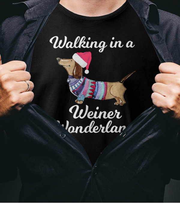 Walking In A Weiner Wonderland Dachshund Christmas Sweater Santa Hat T-Shirt