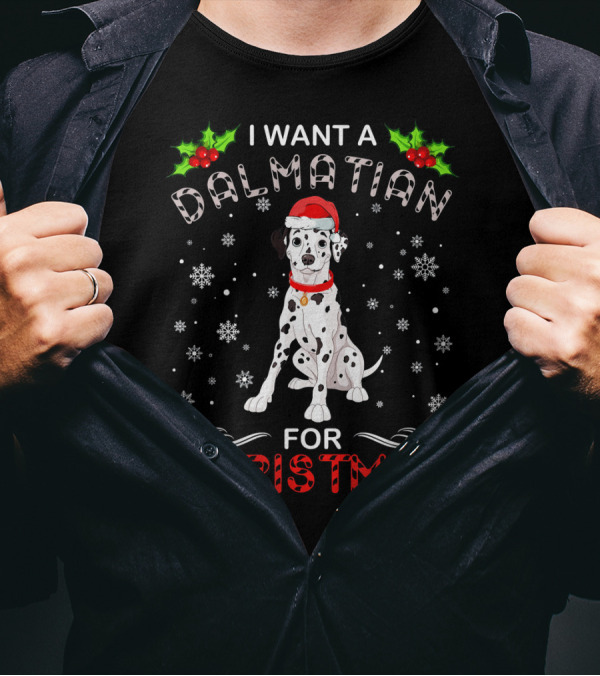 I Want A Dalmatian For Christmas With Snowflakes And Holly T-Shirt