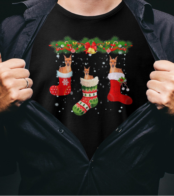 Three Miniature Pinscher Dog In Christmas Stockings With Holiday Decorations T-Shirt