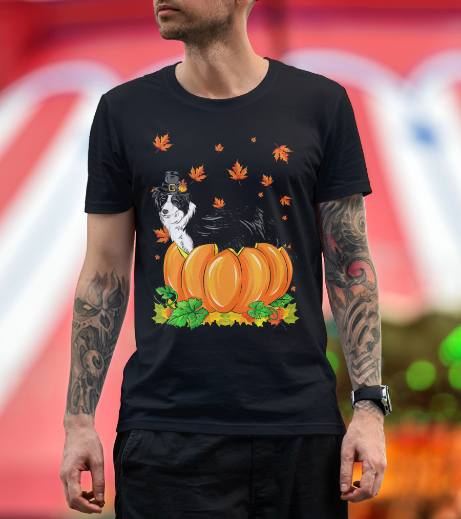 Thanksgiving Border Collie in Pilgrim Hat with Pumpkins and Autumn Leaves T-Shirt