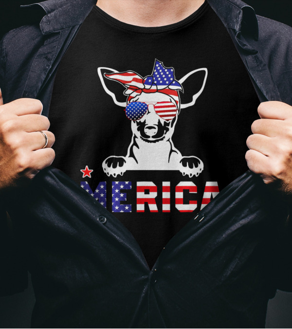 Miniature Pinscher Merica Patriotic USA Flag 4th Of July Dog T-Shirt