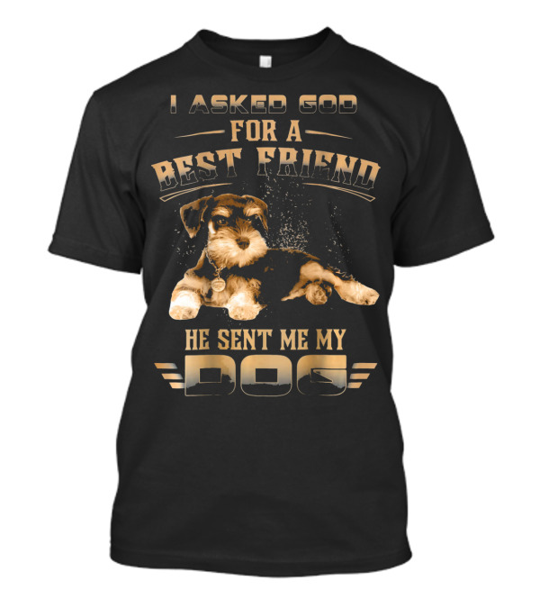 I Asked God For A Best Friend He Sent Me My Dog T-Shirt
