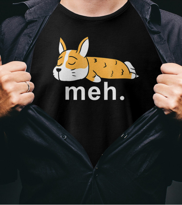 Corgi Meh Sleeping Expression Funny Internet Meme T-Shirt