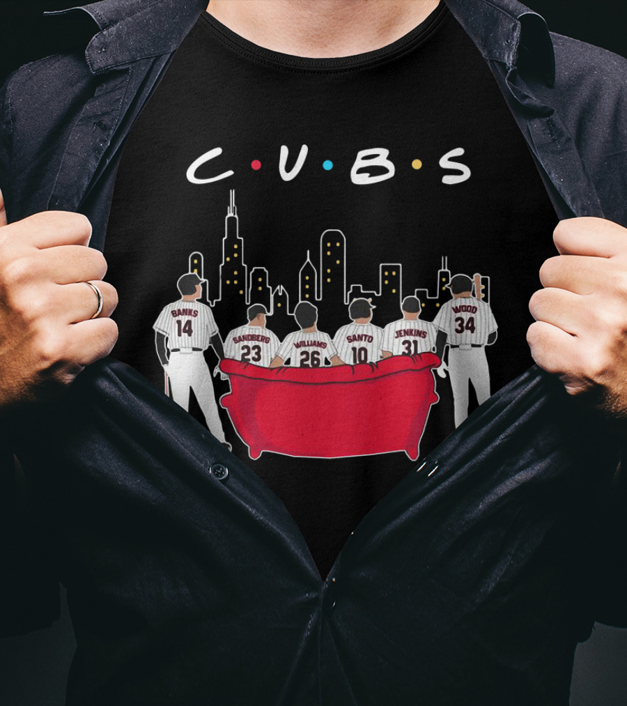 Cubs Friends Chicago Skyline Banks Sandberg Williams Santo Jenkins Wood T-Shirt