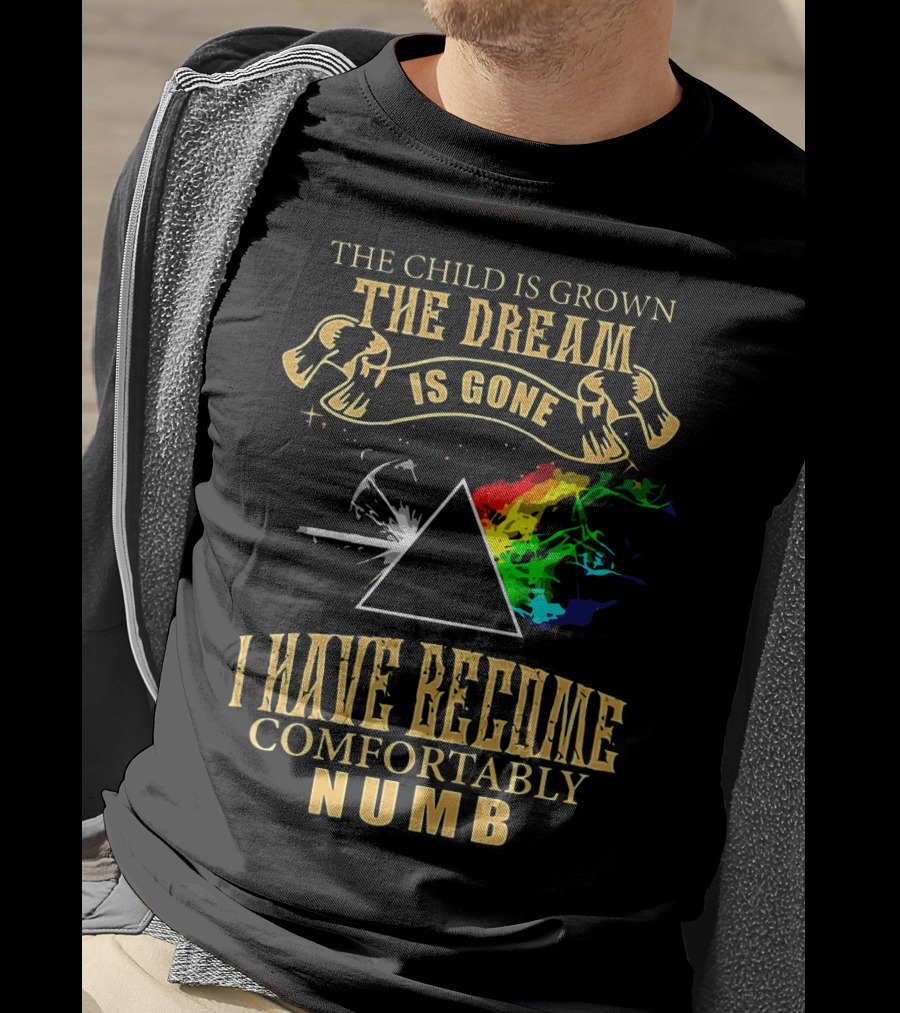 The Child Is Grown The Dream Is Gone Comfortably Numb Triangle Spectrum T-Shirt